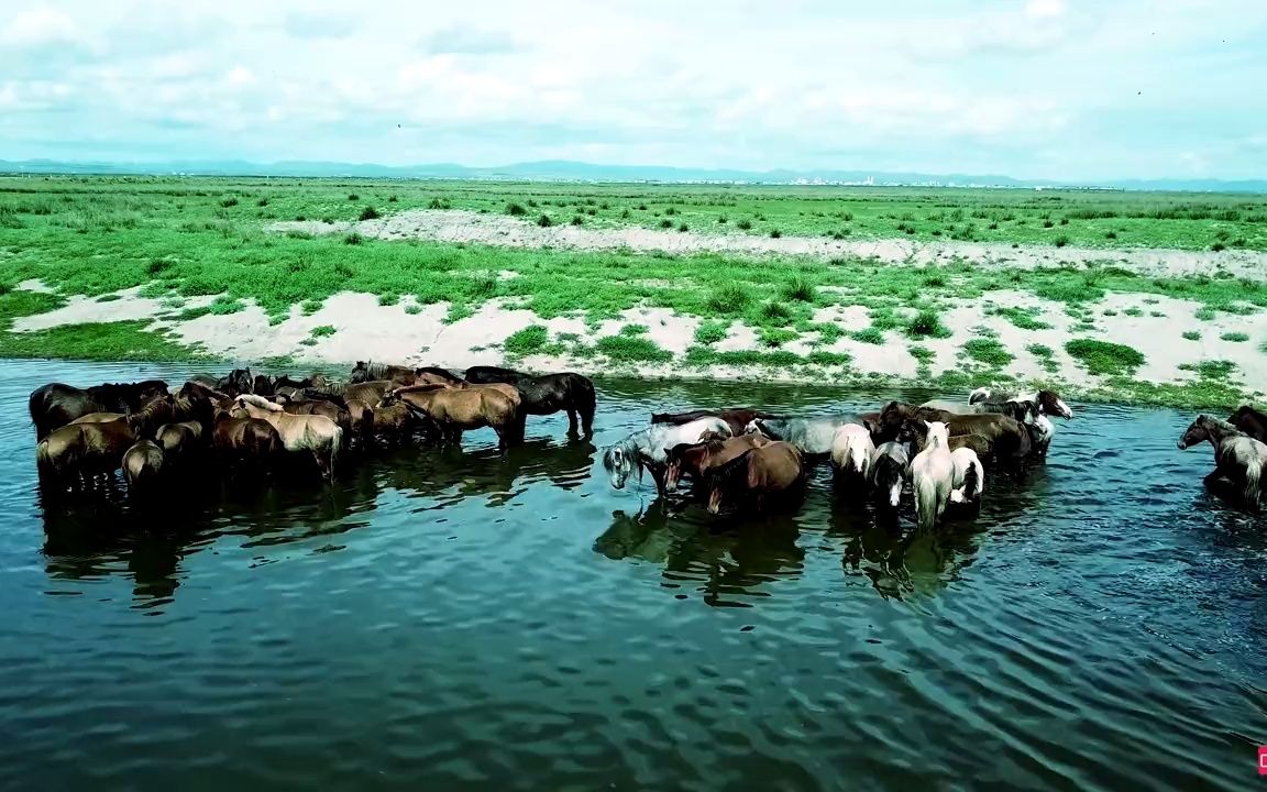 [图]【自然奇观】 航拍 蒙古草原，美丽的风景，是不是能让人心情舒畅一些？