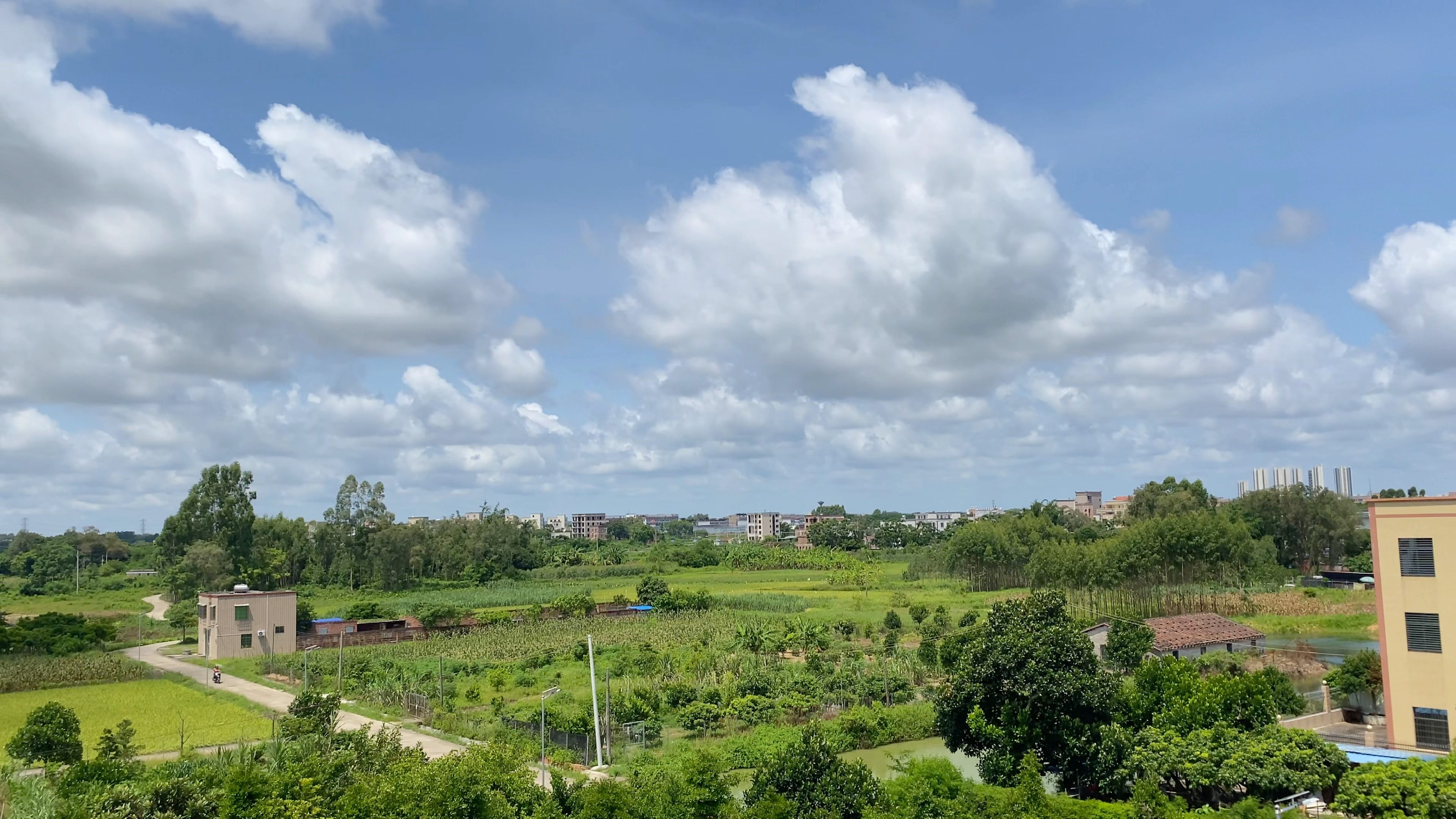 老家的夏天美得像一幅油画