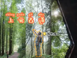 Descargar video: 成都出发1小时 | 开满桂花、可捡板栗🌰的进阶徒步路线