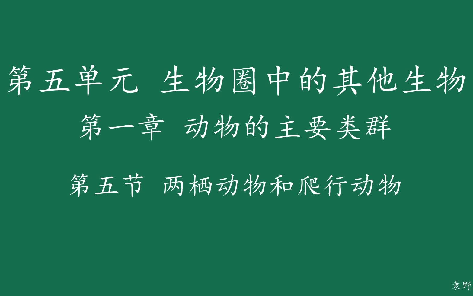 9.两栖动物与爬行动物哔哩哔哩bilibili