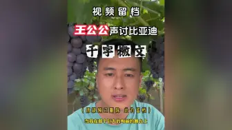 Download Video: 王公公声讨比亚迪千字檄文（原视频已删，此为留档）