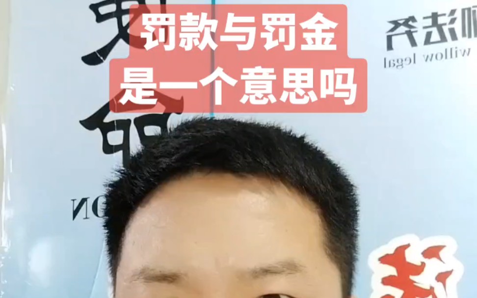 罚款与罚金是一个意思吗?哔哩哔哩bilibili