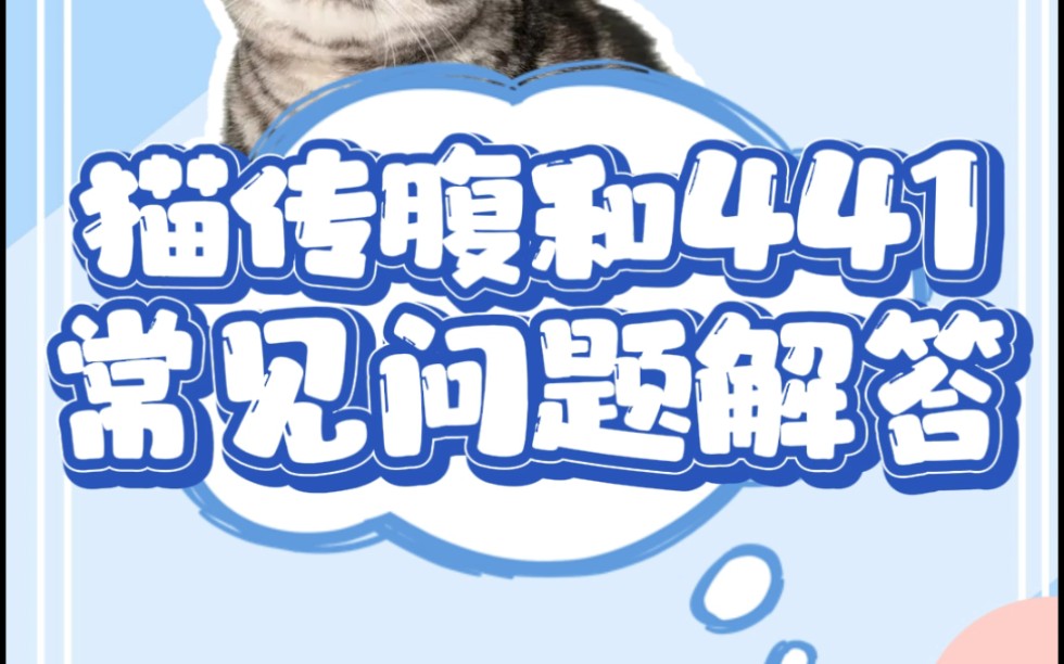 猫传腹和441常见问题解答哔哩哔哩bilibili