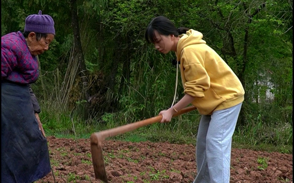 [图]刚回村婆婆就教我新的生存技能——种四季豆