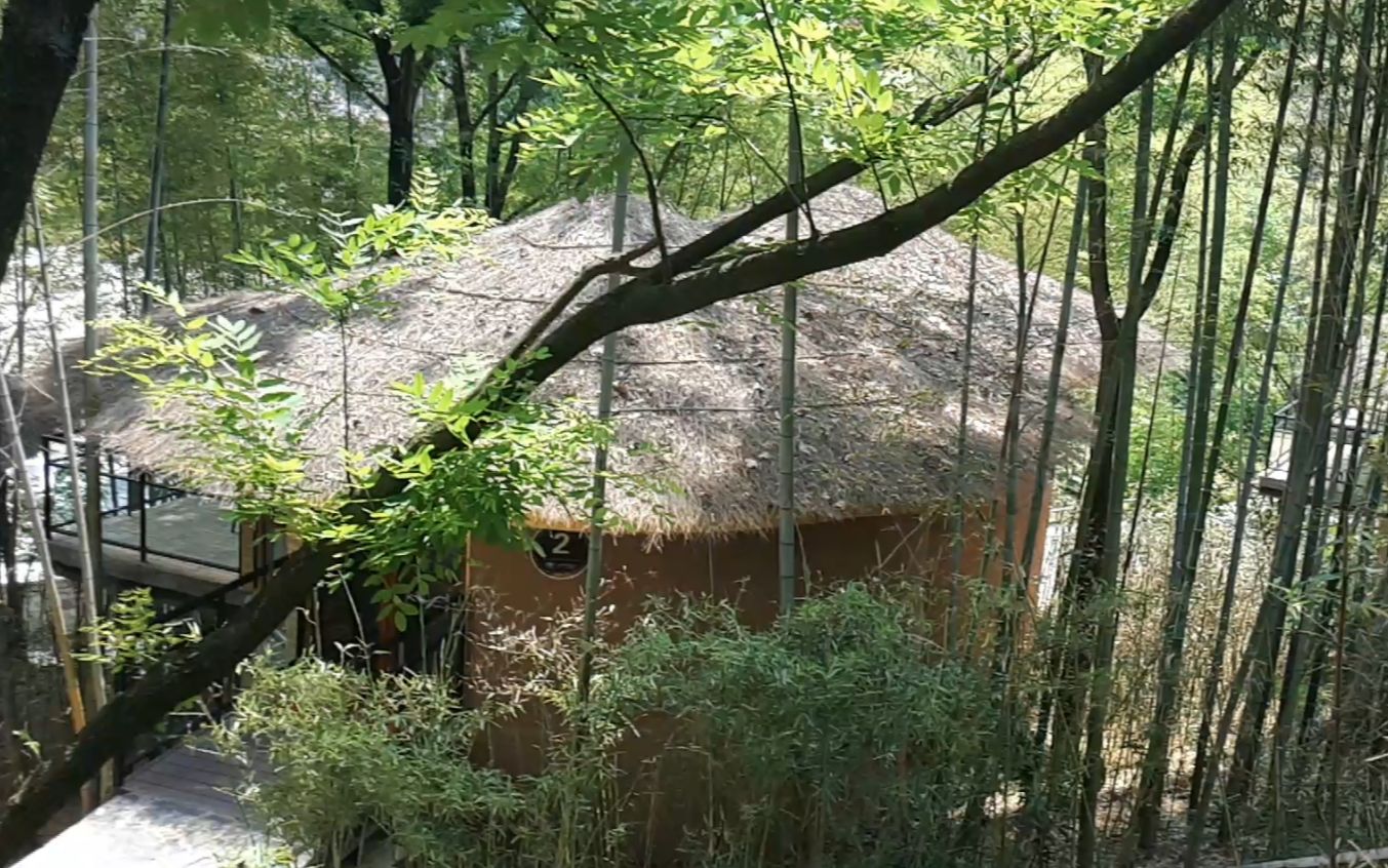 创意!固始县把民宿建在森林里,外观像茅草屋,里面却很豪华