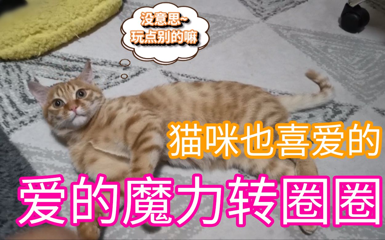 [图]可怕！猫咪也被洗脑了~爱的魔力转圈圈简直停不下来（第一次做视频投稿，请多关照，喜欢请多关注哦~）