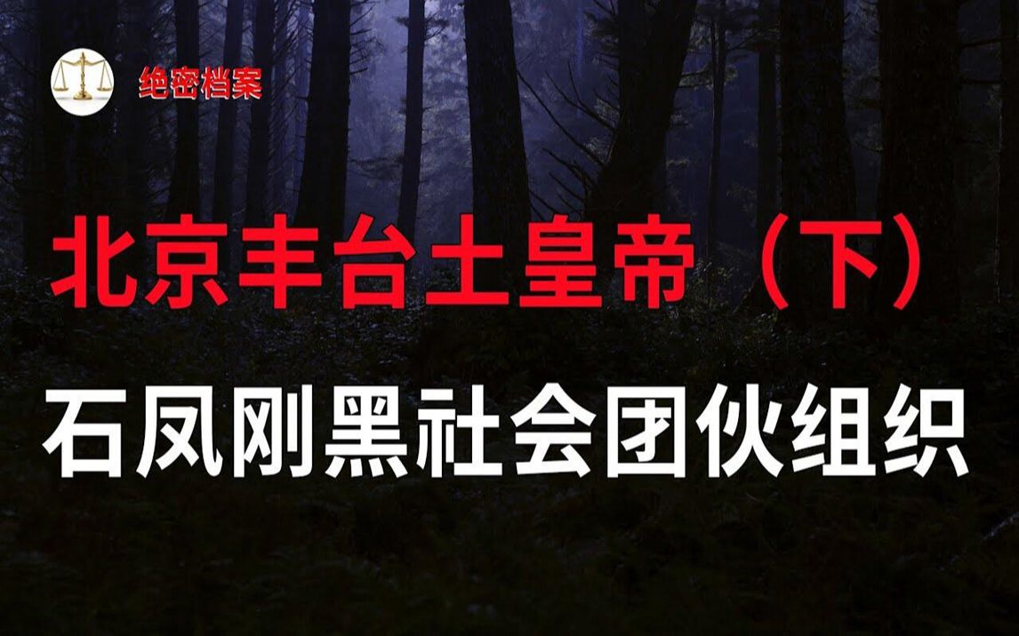 [图]扫黑风暴（下）：北京丰台土皇帝，石凤刚黑社会团伙组织，恶势力的形成与覆灭 - 大案要案纪实录 - 绝密档案