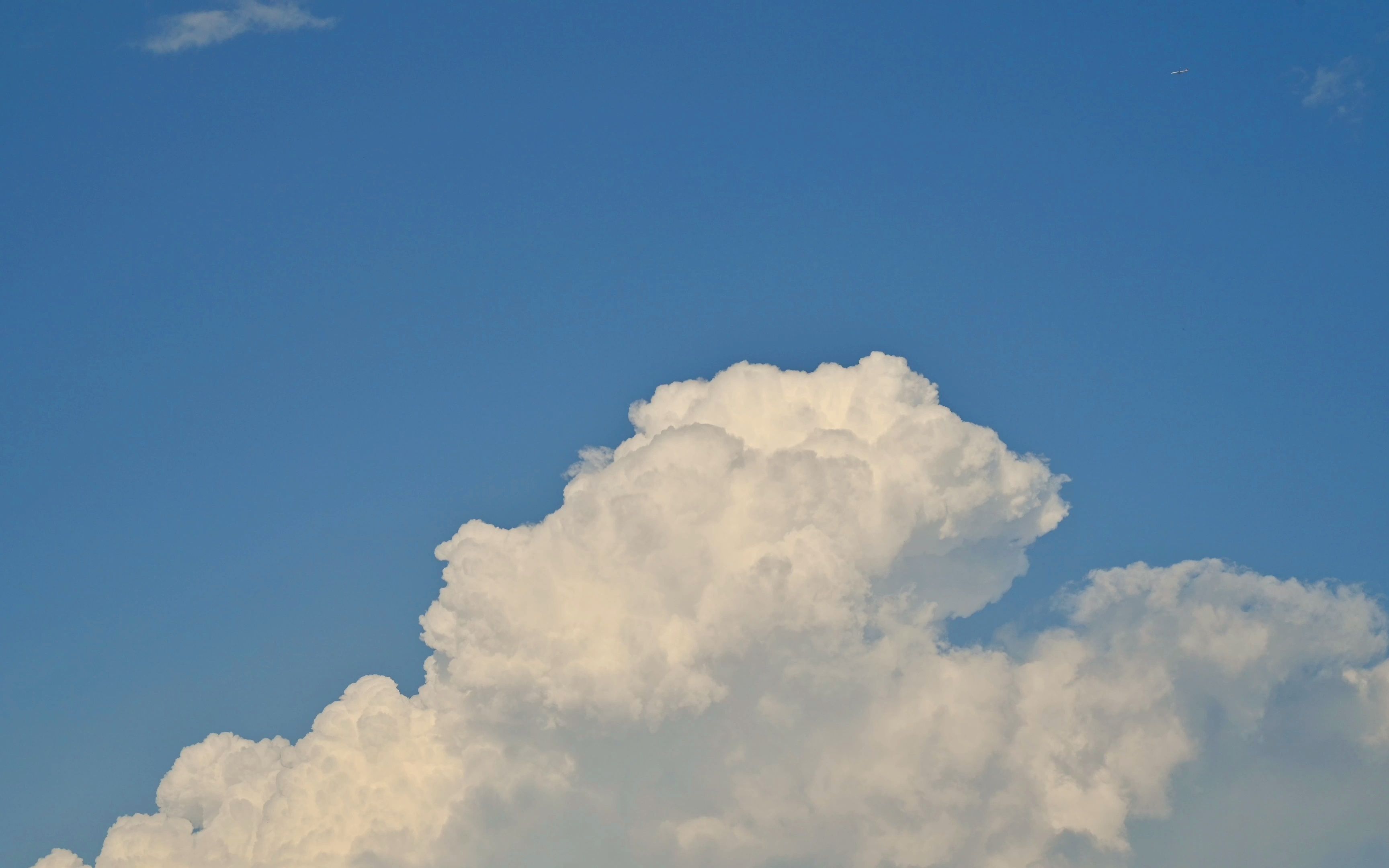 "云朵收藏家"_哔哩哔哩_bilibili