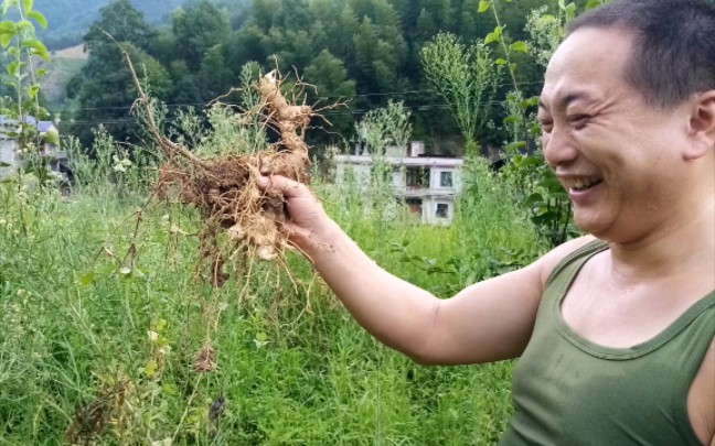 [图]见证成长 我的2020年驻村（古楼）扶贫攻坚日常