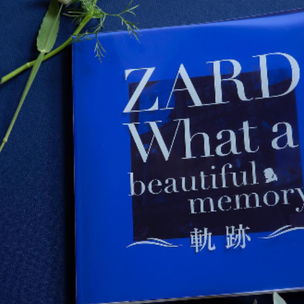 ZARD“What a beautiful memory 〜軌跡〜”ダイジェスト_哔哩哔哩_bilibili