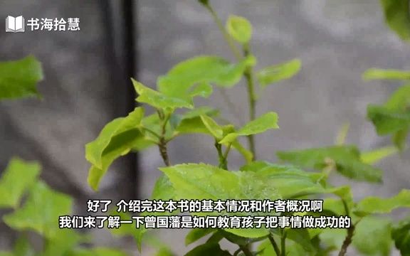 好书解读:《成事:冯唐品读曾国藩嘉言钞》作者冯唐 【书海拾慧】哔哩哔哩bilibili