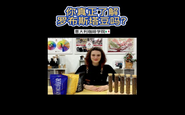 你真正了解罗布斯塔豆吗?哔哩哔哩bilibili