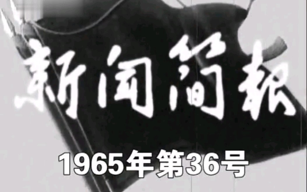 [图]新闻简报1965年第36号