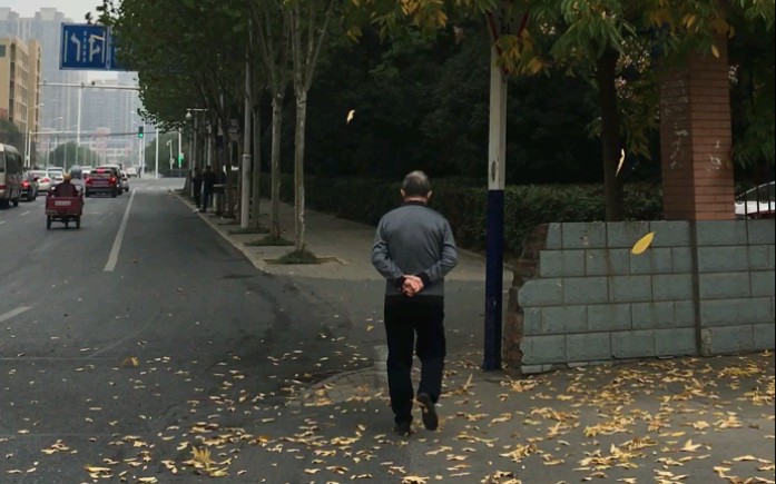 老人走过树下而萧瑟秋风又在扫落叶背影与树叶飘零的场景很有悲伤感