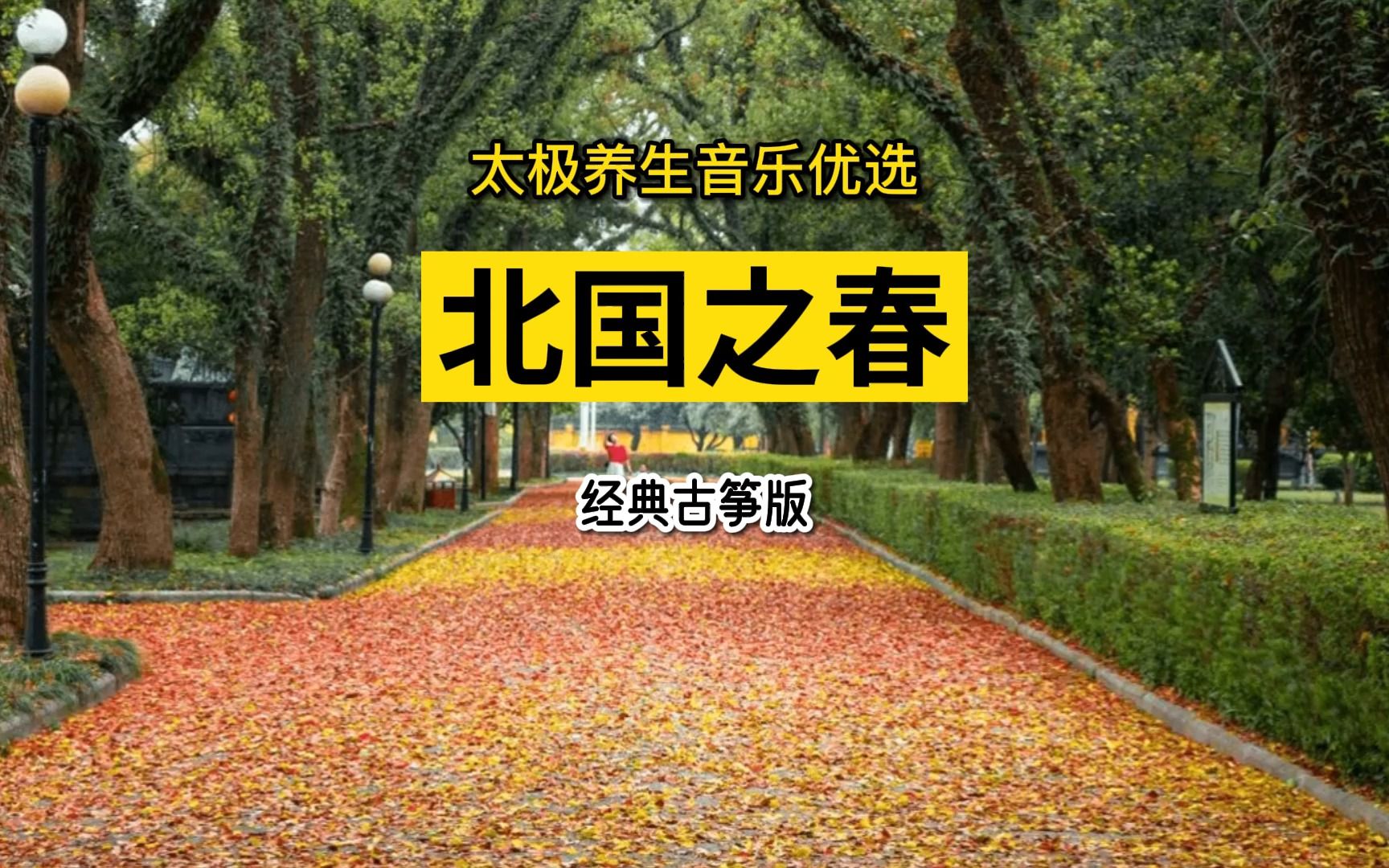 太极养生音乐优选《北国之春》经典古筝版深受拳友反复播放的神曲哔哩哔哩bilibili