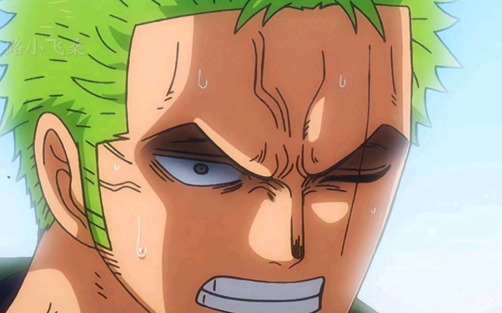 "索隆的几次非常生气" 人死了 到底有什么好笑的-酒醉人自迷-默认收藏