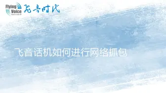 飞音话机如何进行网络抓包