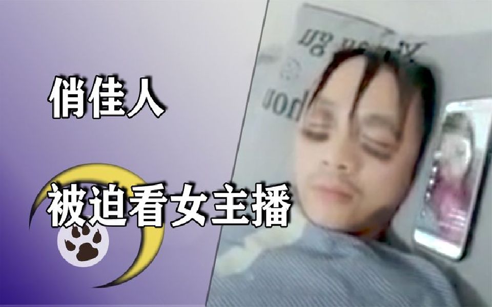 最惨律师实习生,每天被老板强迫看女主播,观众:还缺人吗哔哩哔哩bilibili