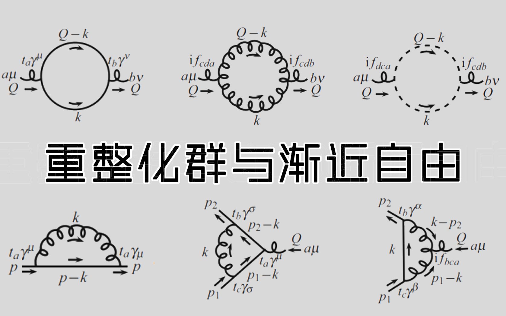 【中科大格物致知社】重整化群与QCD渐近自由哔哩哔哩bilibili