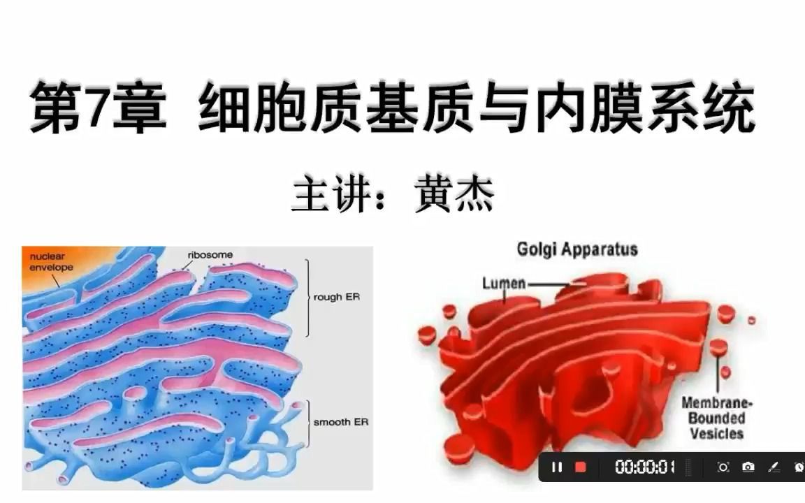 [图]6.3 内质网的结构和功能（2）（生物竞赛）（考研）（新高考）