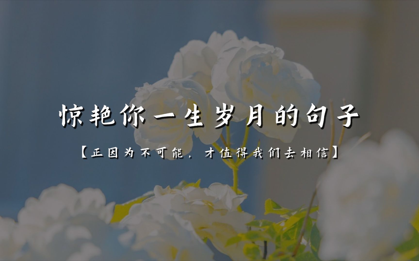 ＂人就是这样,等终于到了懂得珍惜的年纪,偏偏又走散了.＂ | 惊艳你一生岁月的句子哔哩哔哩bilibili