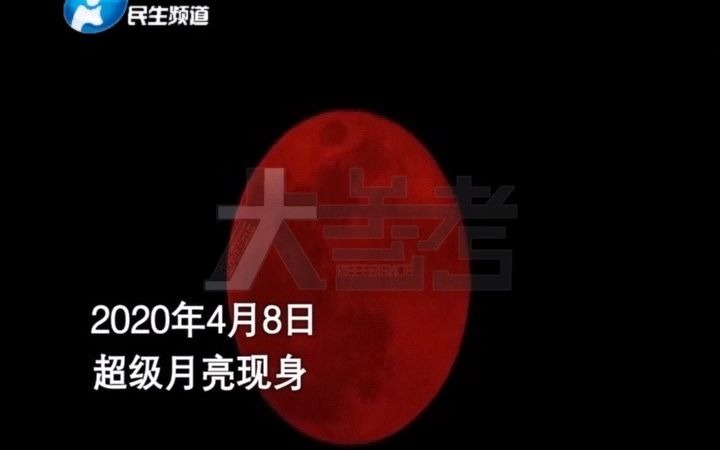 2020年度奇闻盘点哔哩哔哩bilibili