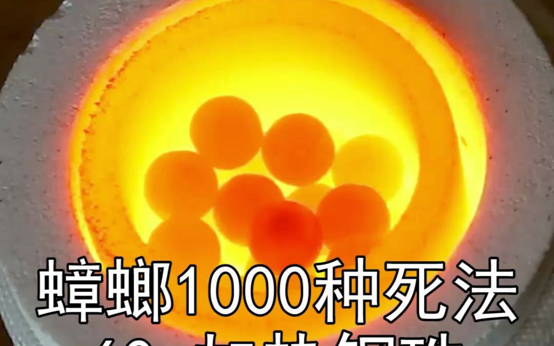 [图]蟑螂1000种死法【60】感冒的蟑螂，不想吃蟑螂药，咋办？只需要把钢珠加热...#家庭版蟑螂粉