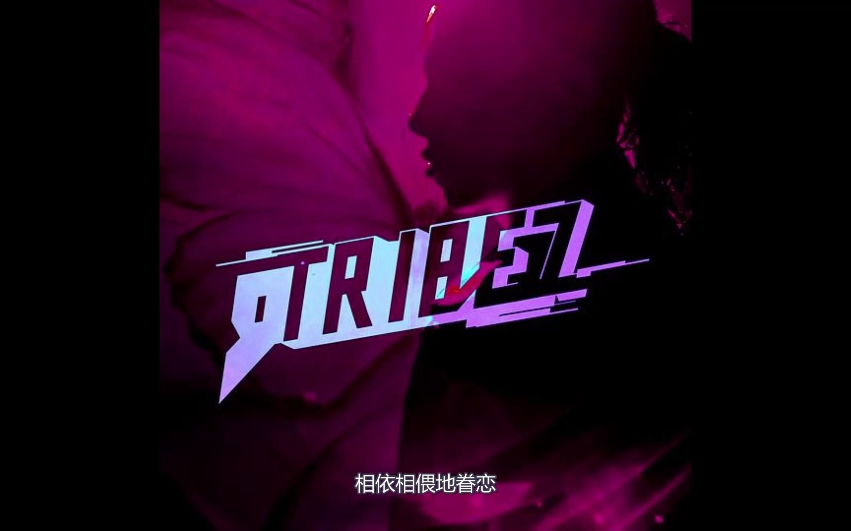 9 Tribez(专辑:蝴蝶歌)哔哩哔哩bilibili