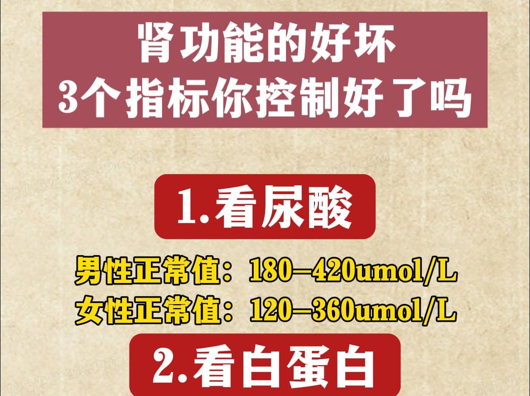 你的肾健康吗?看这3个指标自查一下哔哩哔哩bilibili