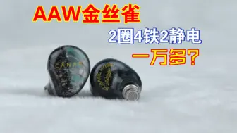 Download Video: 万级八单元的二圈四铁二静电，AAW金丝雀CANARY更换母座复原面板和声音体验