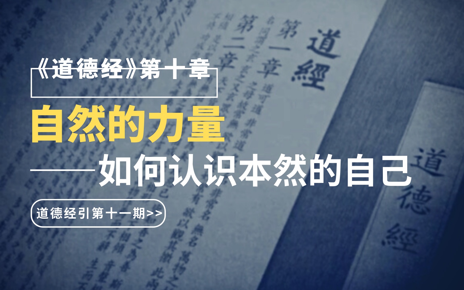 自然的力量:如何认识本然的自己|【道德经引第十一期:第十章】哔哩哔哩bilibili