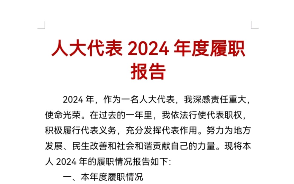 人大代表2024年度履职报告哔哩哔哩bilibili