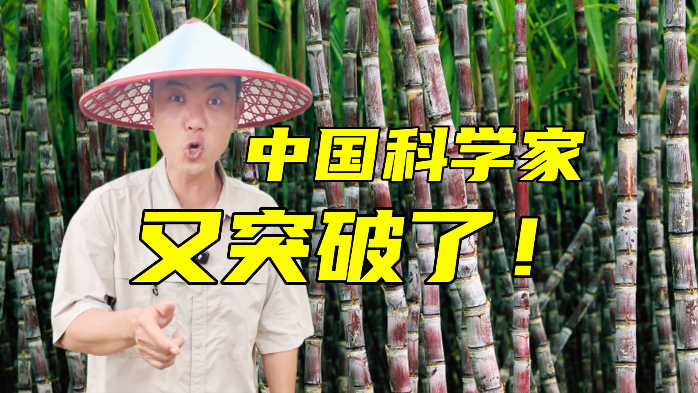 重磅突破！中国科学家破解甘蔗育种世纪难题【主播说三农】