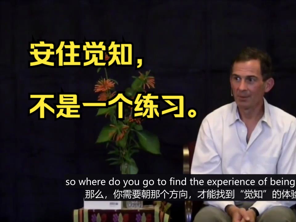 Rupert Spira:安住觉知,不是一个练习.Abiding as Awareness is a Non Practice 鲁伯特斯彼拉哔哩哔哩bilibili