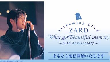 ZARD】DVD What a beautiful memory ~25th Anniversary~【CNZARD汉化