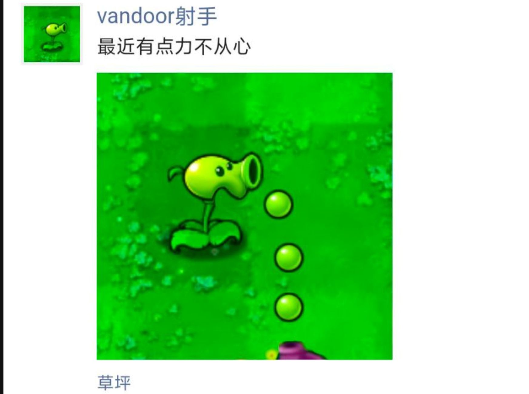 当pvz有了朋友圈:豌豆射手又不行了...PVZ