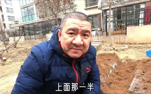 Descargar video: 煤渣、面粉、枯叶、百香果、桔皮、虾皮等，改良城市土壤简单方法