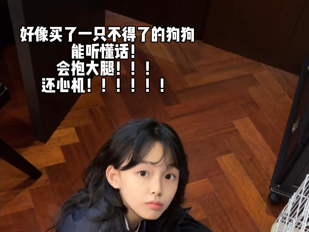 这居然是一只心机狗!!!-刘格格-刘格格-哔哩哔哩视频