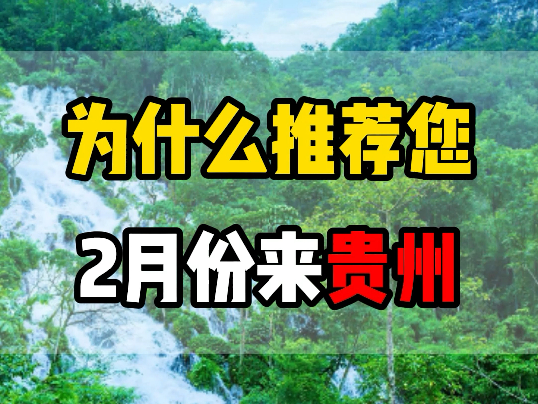 为什么推荐您2月份来贵州?因为2月份的贵州是这个样子的,各大精华景点已经不需要排队,好玩轻松还不累,看看我们是怎么玩的吧!#贵州旅游 #贵州旅...