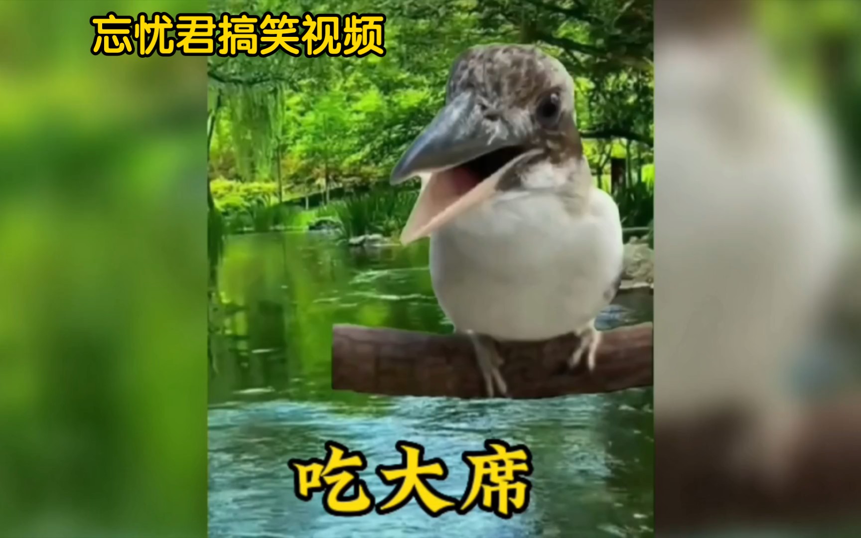 盘点那些吃席的搞笑瞬间,看到最后不笑算我输