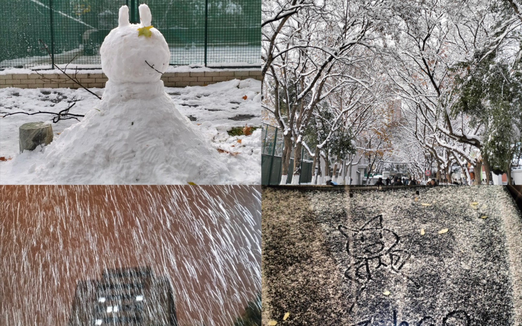 【郑州暴雪纪实】大学生视角带你看郑州暴雪哔哩哔哩bilibili