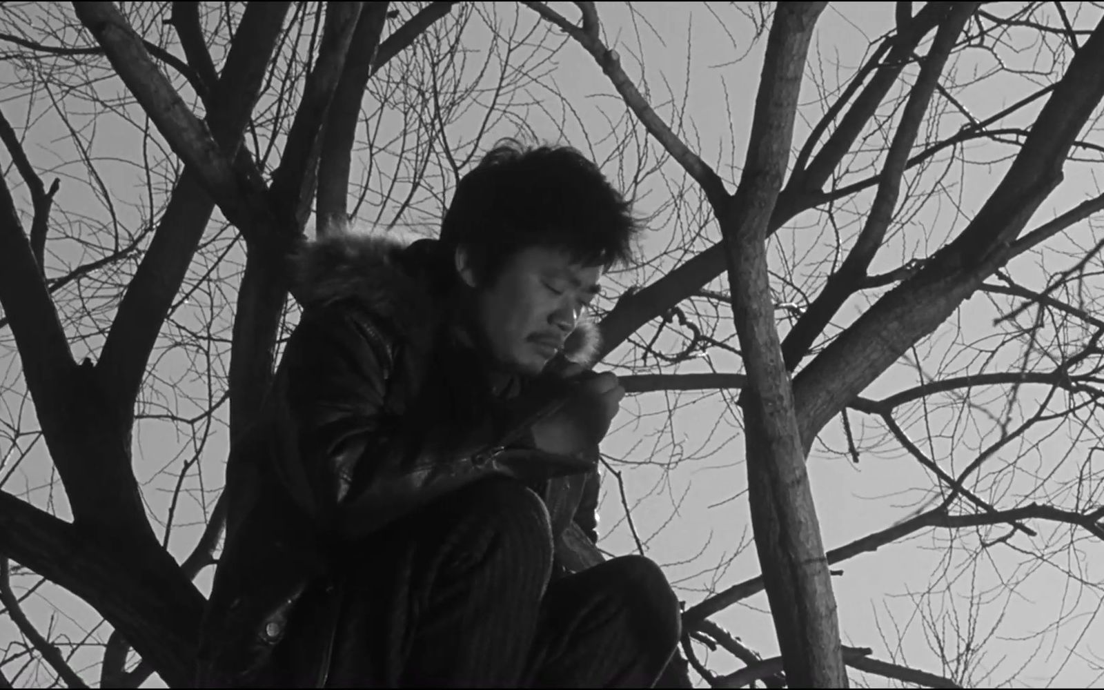 电影【hello 树先生】剪辑 愿世上所有“树先生”，都被温柔以待。_哔哩哔哩_bilibili