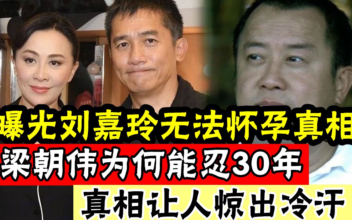 曝光刘嘉玲无法怀孕真相? 31年前被曾志伟深夜喊去打麻将,结果经历了人生“黑色3小时”,梁朝伟为何能忍30年?真相让人惊出冷汗#辣评娱圈哔哩哔哩...