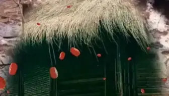 互粉互赞互关互赞，互相帮忙完成涨粉任务，一起加油互关互赞互粉,54