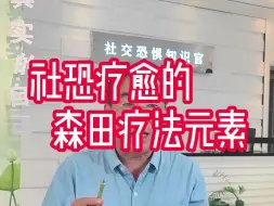 Video herunterladen: 社恐疗愈的森田疗法元素