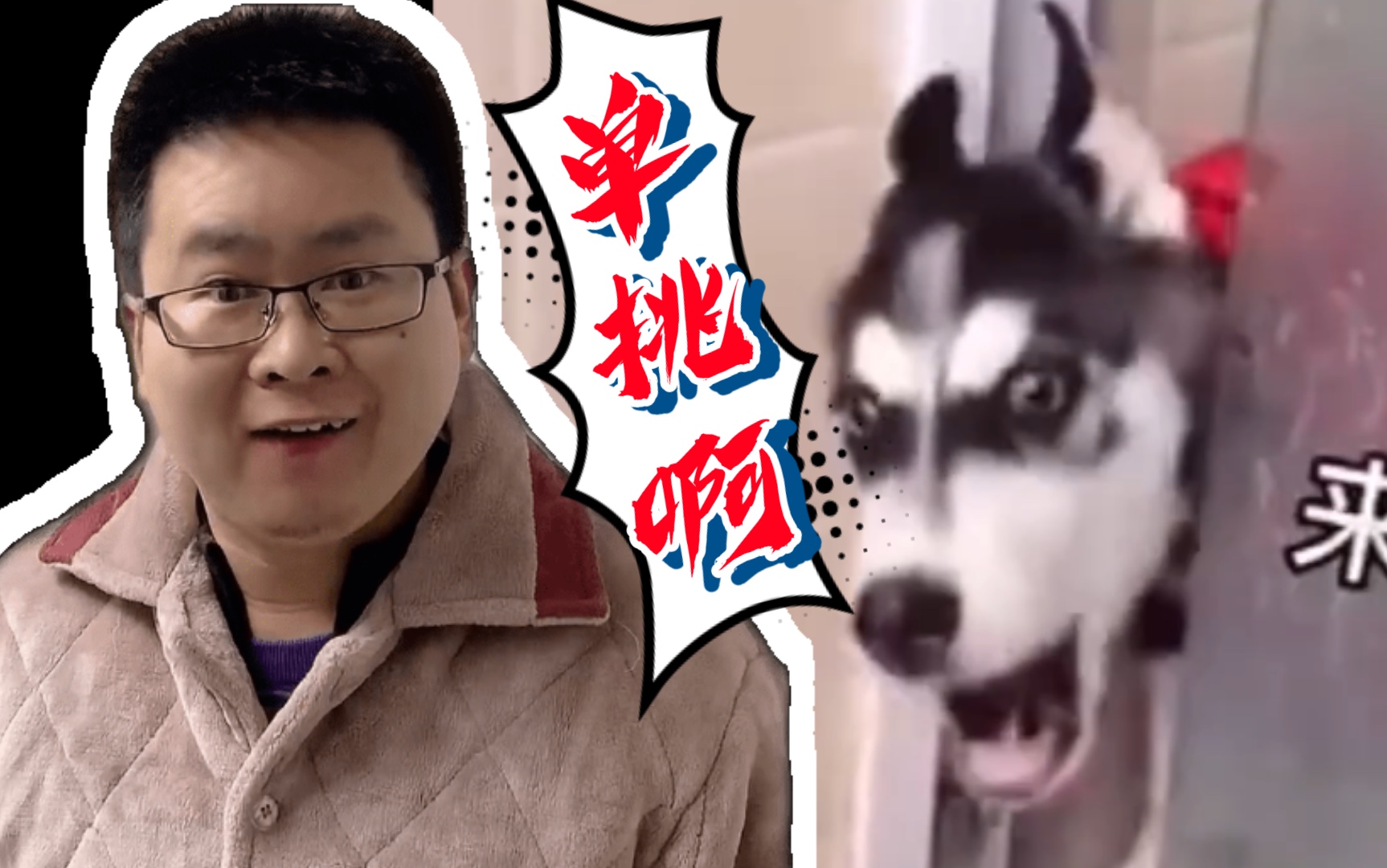 【日教夫词13】师姐变哈士奇:出来单挑啊!_哔哩哔哩_bilibili