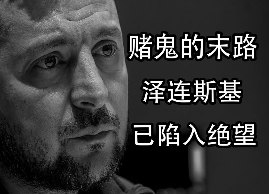 赌鬼的末路 泽连斯基已陷入绝望!