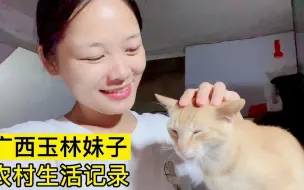 Download Video: 【广西玉林 · 农村生活记录】弟弟在认真做菜，姐姐在欢快地撸猫，生活很踏实而快乐！