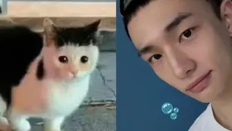 【黄铉辰】孩子到尴尬期了？…