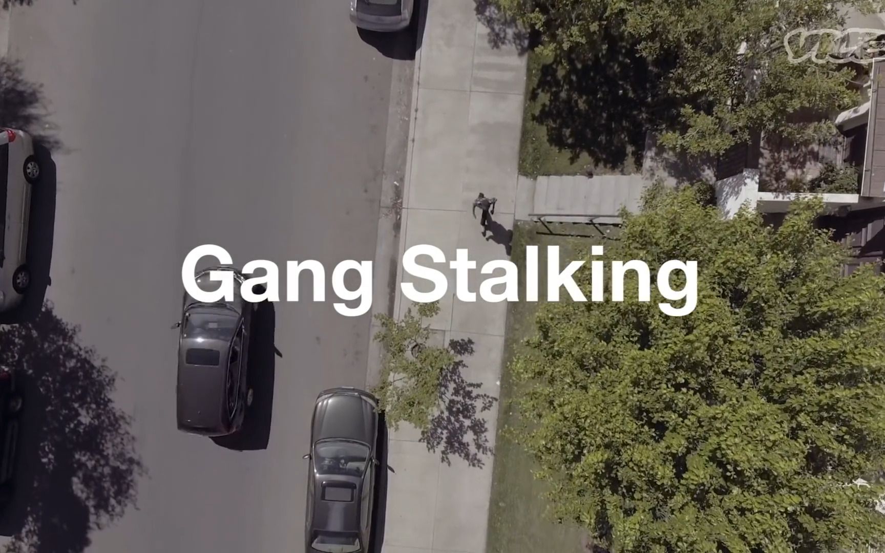 [图]有组织纠缠的梦魇世界（The Nightmare World of Gang Stalking）